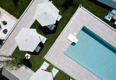 其他 2 Coconut Palm Paradise