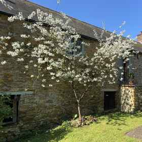 Primary image1Beautiful Barn Conversion With Wood-burning Stove,Haselbury Plucknett飯店