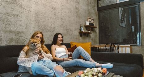 Others 2 Minimalist Sapanca