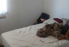 Others 2 Edificio Tiradentes