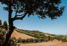 Lainnya 6 Villa Millefiori - Villa Millefiori