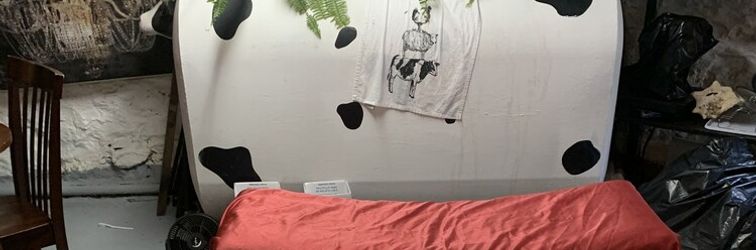 Others The Brooklyn Riviera