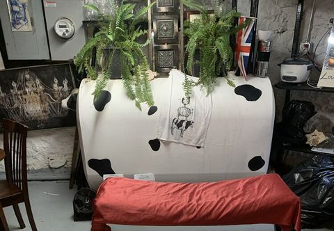 Others The Brooklyn Riviera