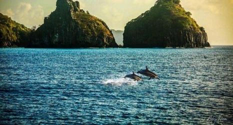 Others 2 Pousada Flor do Atlântico