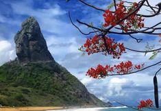 Others 5 Pousada Flor do Atlântico