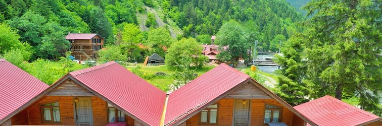 Others Vadi Bungalov