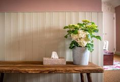 기타 3 The White Lion