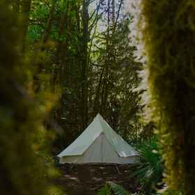 Primary image1Olympic Glamping,麦迪逊溪瀑布飯店