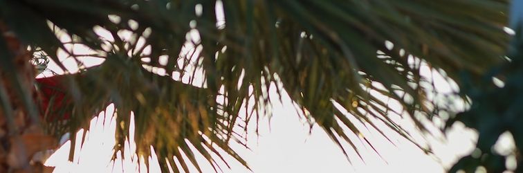 기타 That's Alaçatı