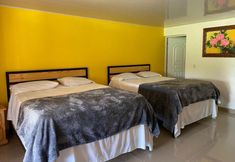 其他 3 Hotel Piscalonga