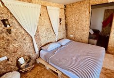 기타 3 Dominic Home