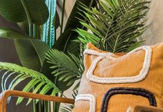 Others 7 Arabica House - YourApartment