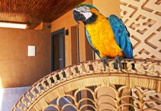 Others 7 Tulum Beach Resort Dakhla