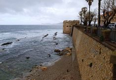 その他 7 Illy .1. Apartment.