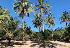 其他 7 Abaetetuba Pousada