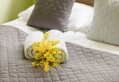 Others 3 Apartment Jana Pawła II by Renters