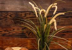 Others 3 Zen View 2 Bedroom Home by Redawning