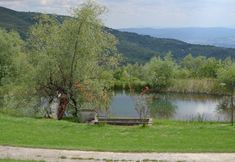 Others 5 Amazing Stay in Tuscany Rustic Style