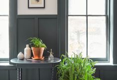 기타 5 The Wiltwyck