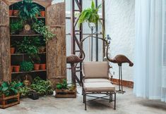 Others 6 Pantanal - Pousada Sia Mariana