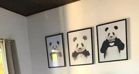 其他 2 Tropical Casa Ubatuba