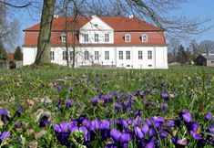 Others 6 Jagdschloss Kotelow