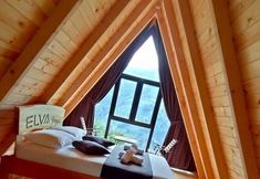 기타 4 ELVA BUNGALOV