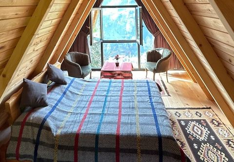 기타 ELVA BUNGALOV