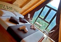 기타 5 ELVA BUNGALOV