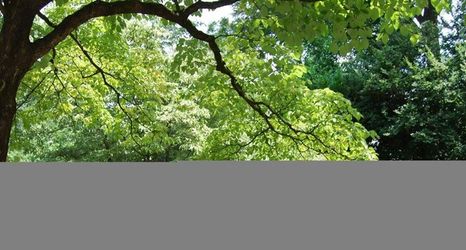 Khác 2 B1bg Quiet Condo Perfect for Travel Nurses