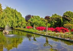 其他 4 Petit Coeur Dans L' Ancien Village