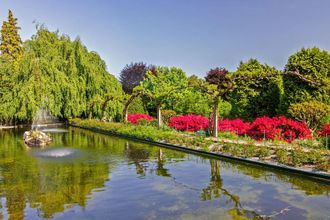 其他 4 Petit Coeur Dans L' Ancien Village