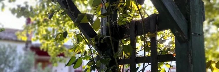 อื่นๆ Lovely 6-bed Cottage in Braga Enjoy and Relax