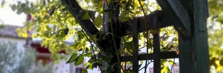 Others Lovely 6-bed Cottage in Braga Enjoy and Relax