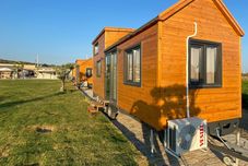 อื่นๆ Enginar çiçeği