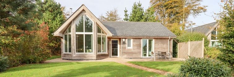 Lainnya Swandown, 2 Blackdown