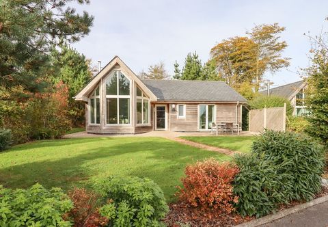 Lainnya Swandown, 2 Blackdown