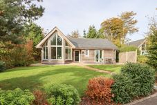 Lainnya Swandown, 2 Blackdown