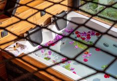 Others 5 Pavri Suit Bungalov