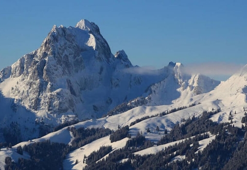 อื่นๆ Gstaad Switzerland Skiing From Exclusive Rougemont Chalet Apartment