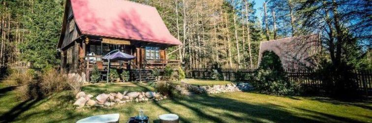 其他 In The Woods Hut in the Forest 5 km From Suprasl