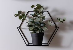 Others 3 Apatment Lux Chopina by Renters Prestige