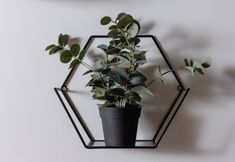 Khác 3 Apatment Lux Chopina by Renters Prestige