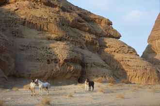 Others 4 Banyan Tree Alula