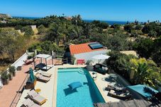 其他 Palm View Guesthouse-Adults only