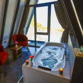 Primary image1World DREAMS Forest,萨卡里亚飯店