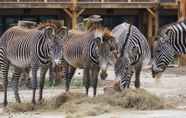 Lainnya 6 Safari Hotel Beekse Bergen