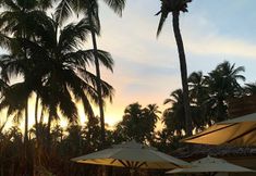 Others 6 Joju Bangalôs & Bistrô