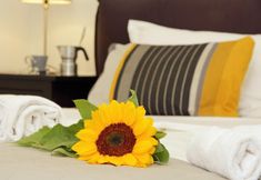 Lain-lain 2 4bnb - Ombrellari 4