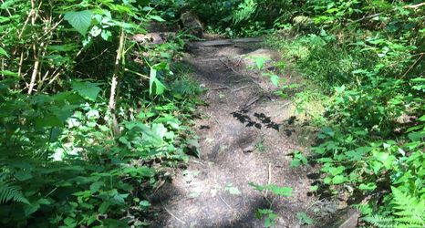 Others 2 79mbr - Hot Tub - Pets Ok - Wifi - BBQ